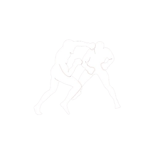 MMA